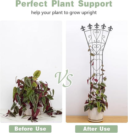 __DEFAULT__