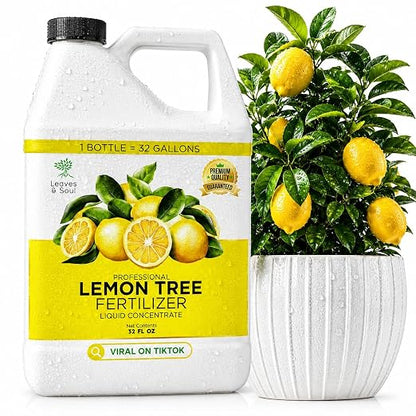 Lemon Plant