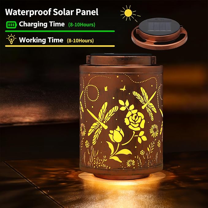 Dragonfly-2pack