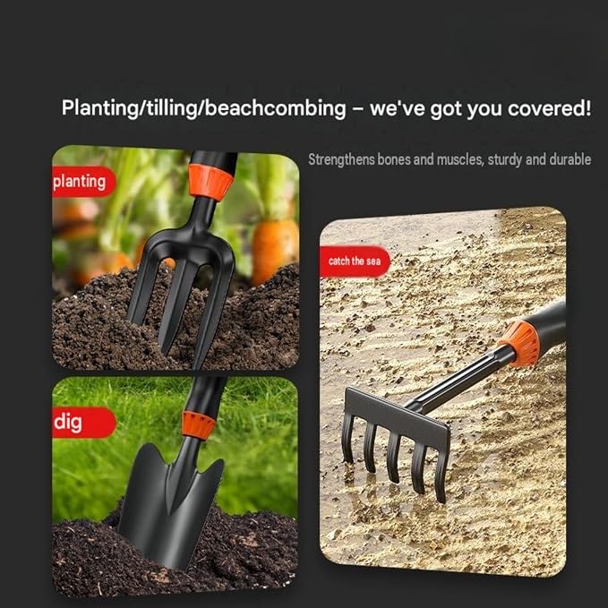 Set 10