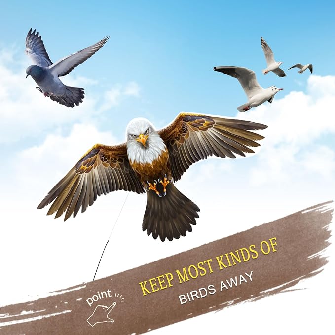 eagle kite with 4m pole