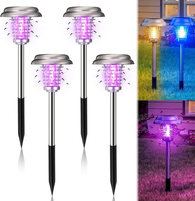 Purple & Colored Light