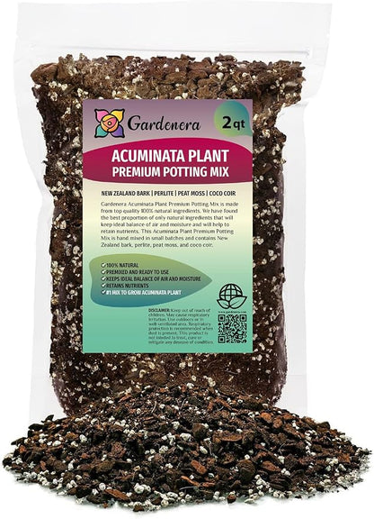 Monstera Acuminata Soil Mix