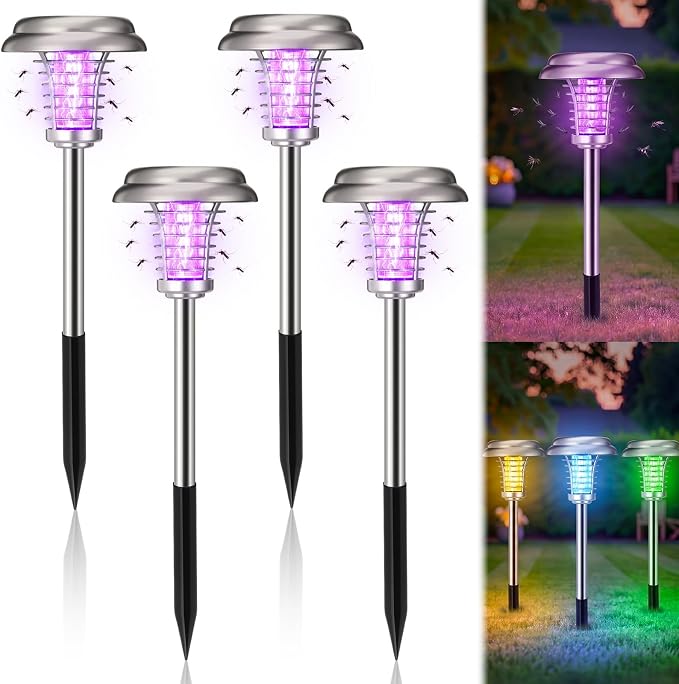 Purple & Colorful Light