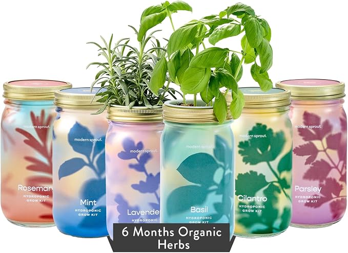 Basil + Mint + Parsley + Cilantro + Rosemary+ Lavender