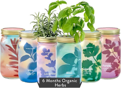 Basil + Mint + Parsley + Cilantro + Rosemary+ Lavender