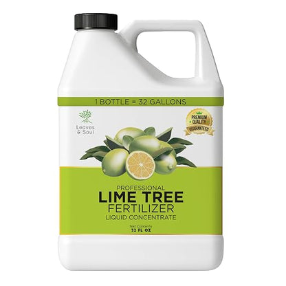 Lime Plant
