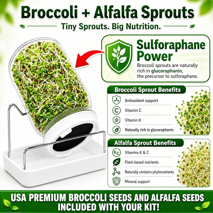 Sprout Jar + Seeds