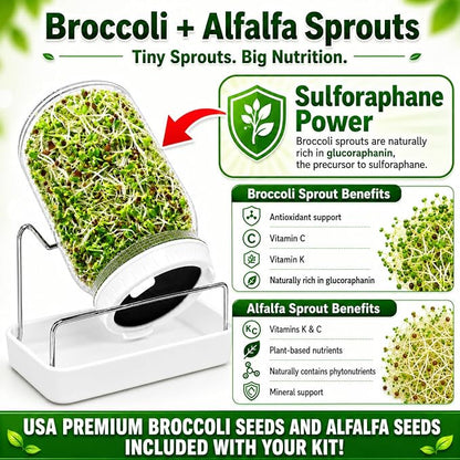 Sprout Jar + Seeds
