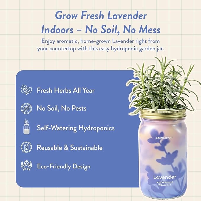 Lavender