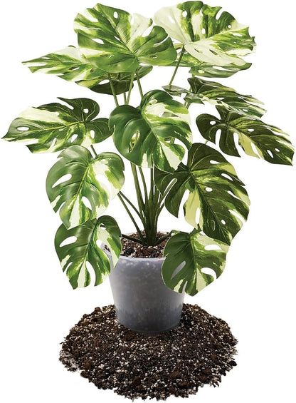 __DEFAULT__