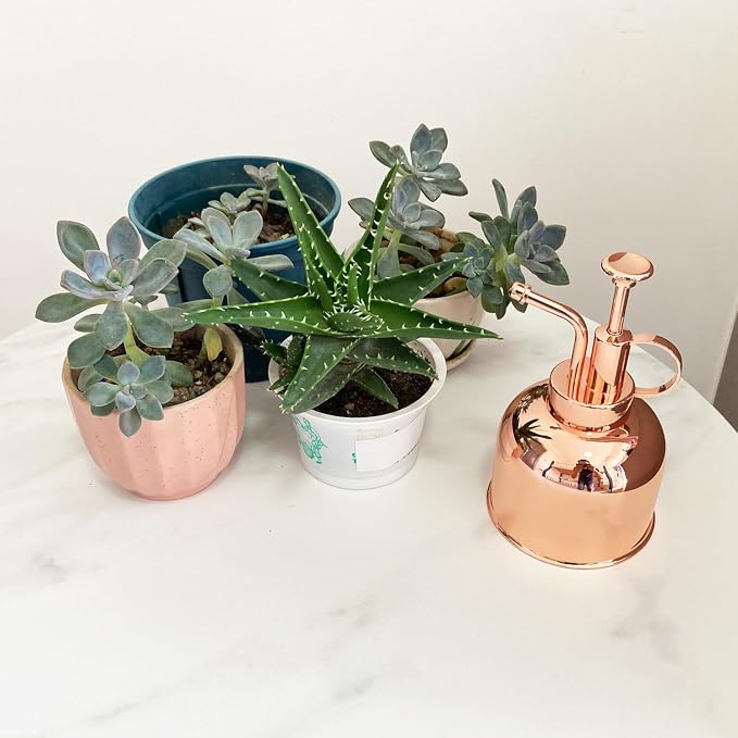 10oz/ Rose Gold