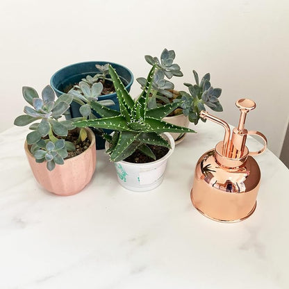 10oz/ Rose Gold