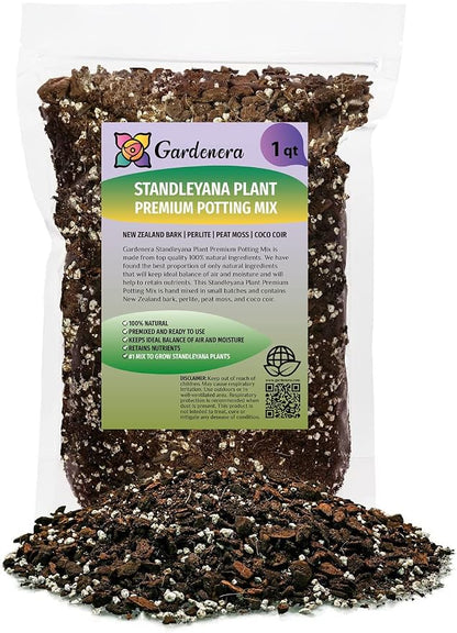 Monstera Standleayana Soil Mix