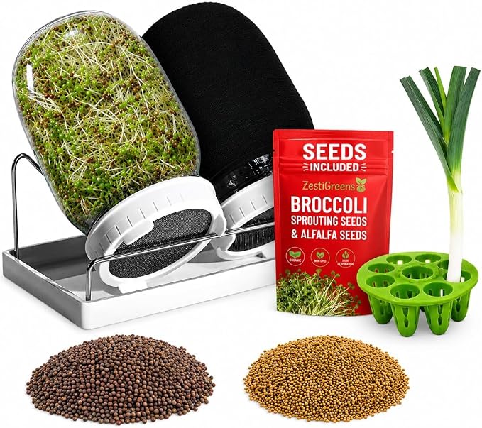 Sprout Jar + Seeds