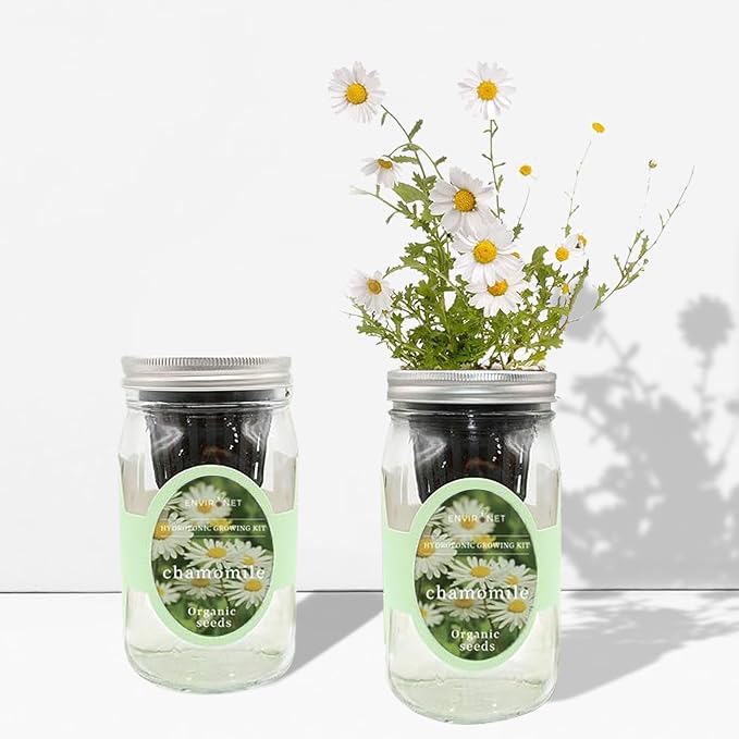 Chamomile