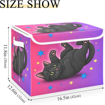 Starry Black Cat