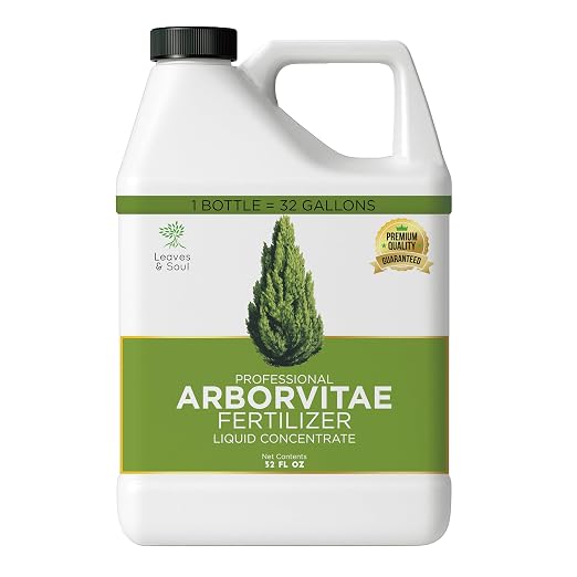 Arborvitae Tree