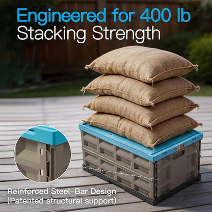Blue - 45L - Pack of 2