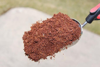 Coco - 650 g (2.2 Gallons) - 1 Pack