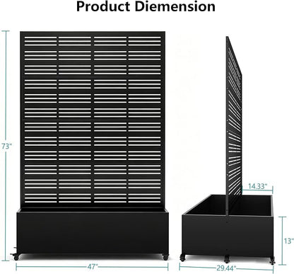 Black-stripe