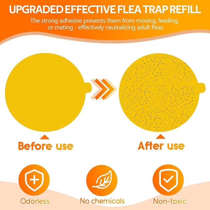Yellow 20 Refills