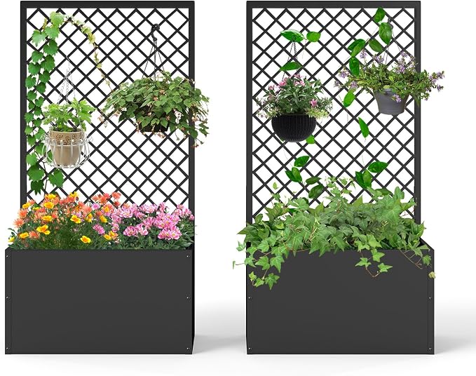 2 Pack