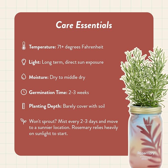 Rosemary