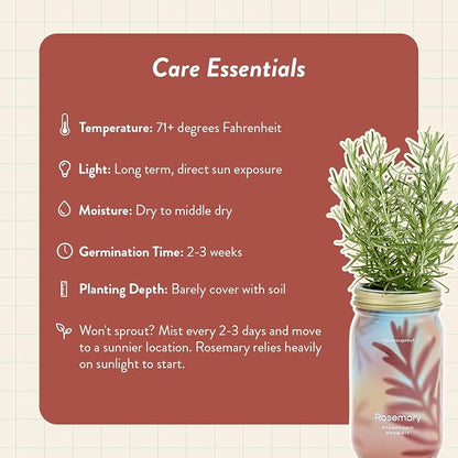 Rosemary