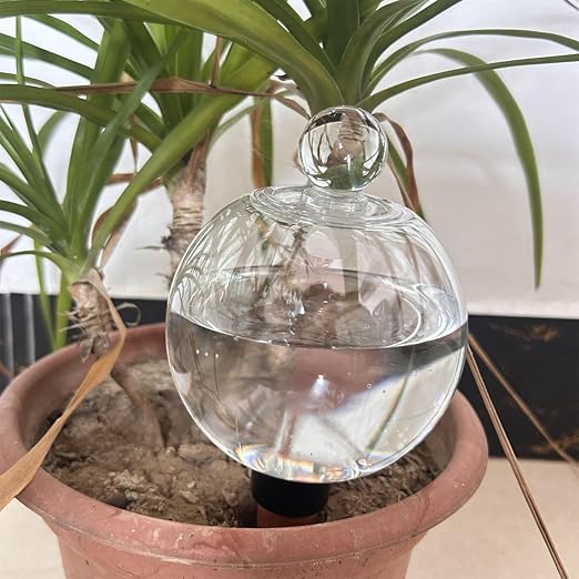 Transparent 1pcs