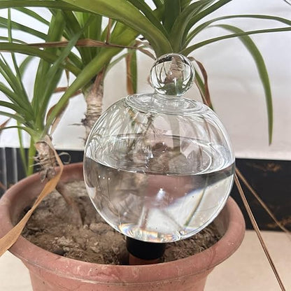 Transparent 1pcs