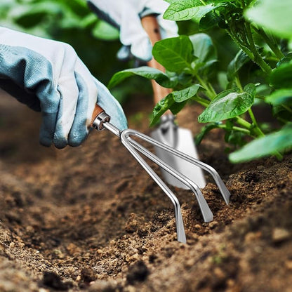 __DEFAULT__