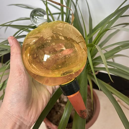 Orange 1pcs