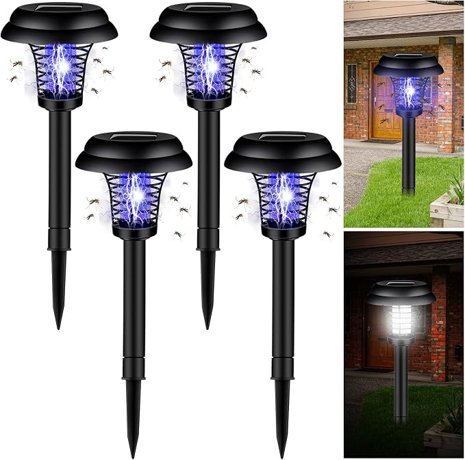 Black Exterior, Purple, White Light