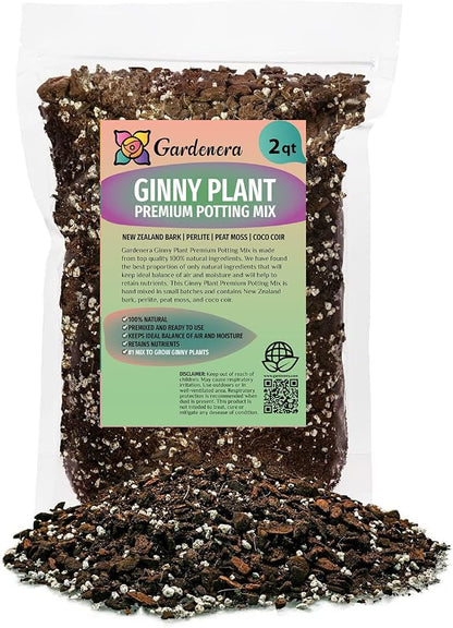 Monstera Ginny Plant Soil Mix