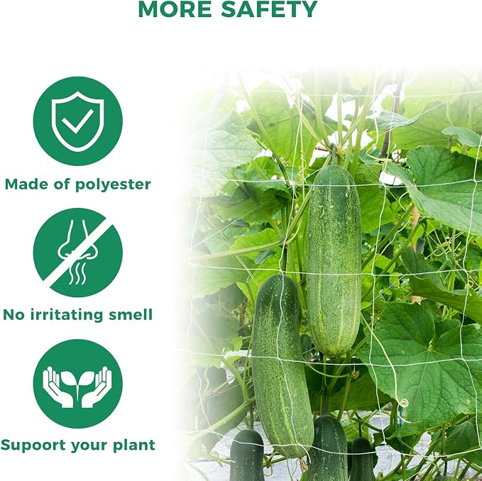 __DEFAULT__