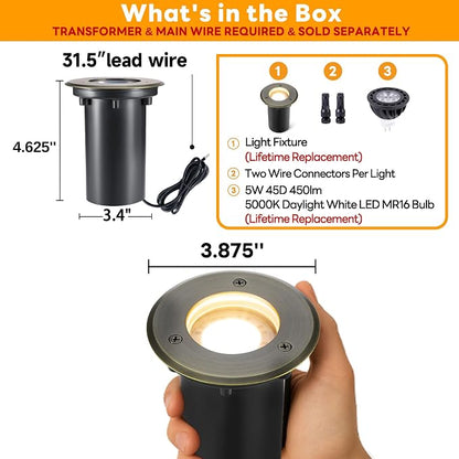 5000K Cool White (With Bulb)