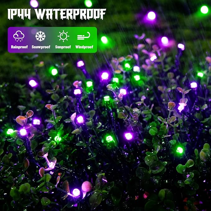 Purple and Green