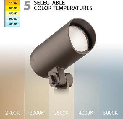 Bronze