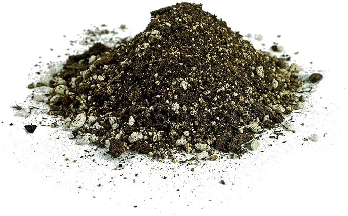 __DEFAULT__