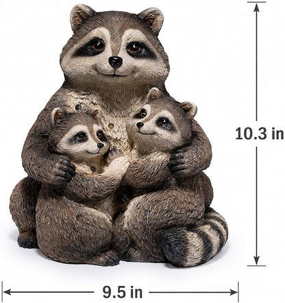 Raccoon Family