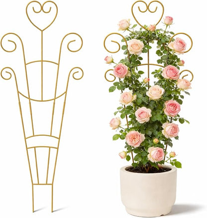Golden-2pcs