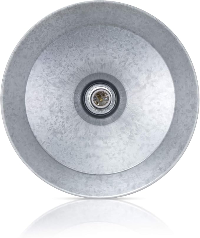 Galvanized