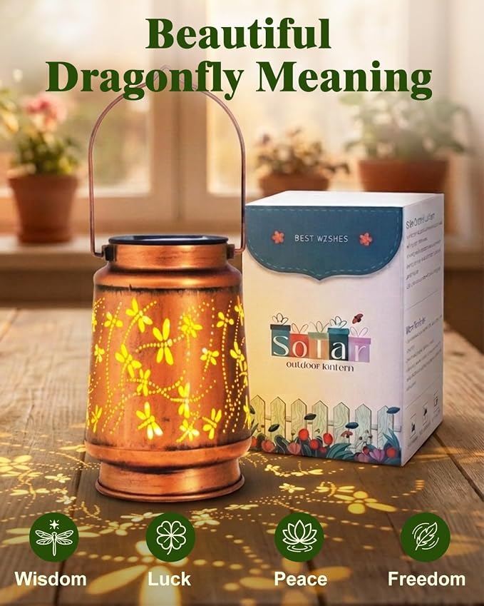 Dragonfly, 4 Pack