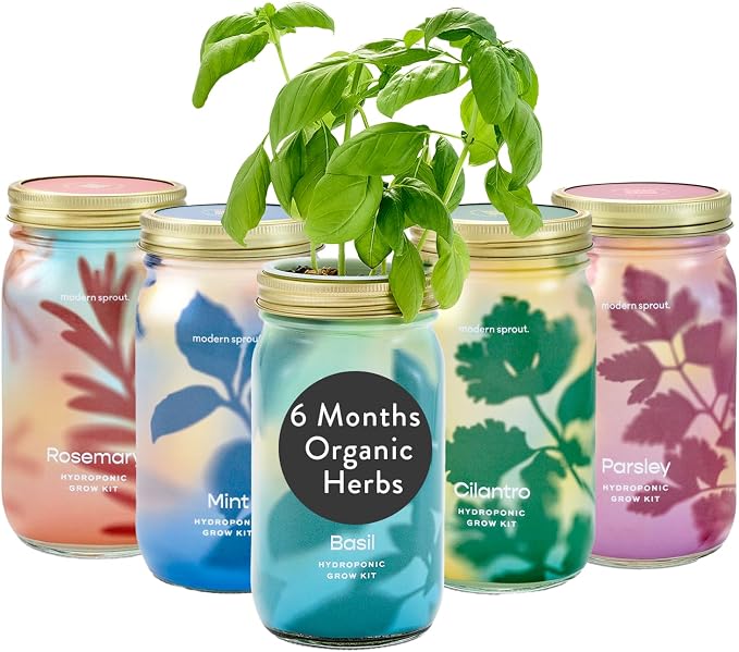 Basil + Mint + Parsley + Cilantro + Rosemary