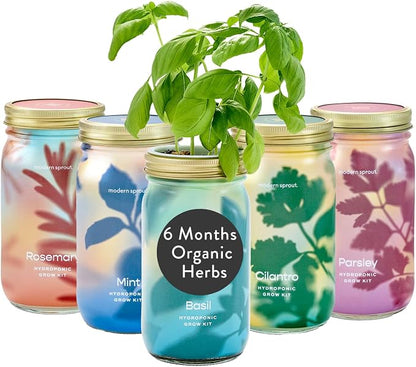 Basil + Mint + Parsley + Cilantro + Rosemary