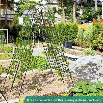 __DEFAULT__