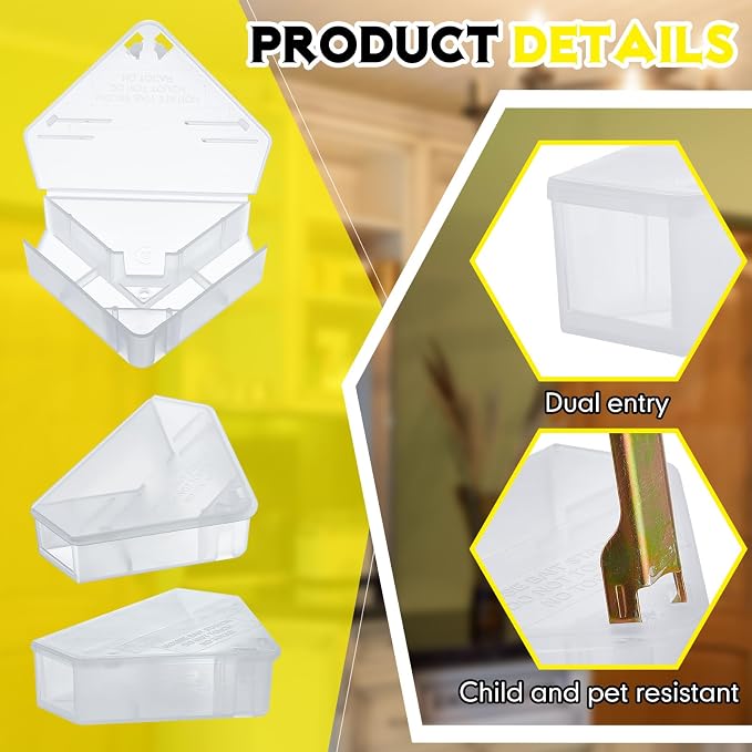 Transparent