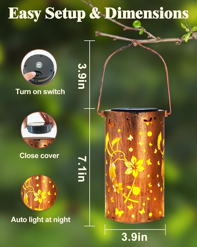 Hummingbirds, 1 Pack