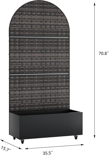 Black-crossbanding-arched